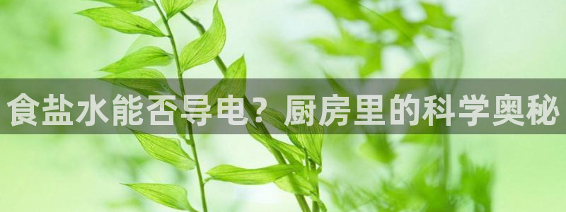 威九国际官网登录入口网站