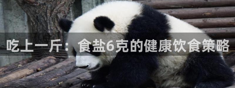 66m成长模式视频威九国际视频：吃上一斤：食盐6克的健康饮食
