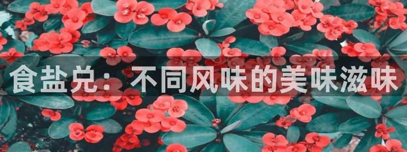 威九国际精：食盐兑：不同风味的美味滋味