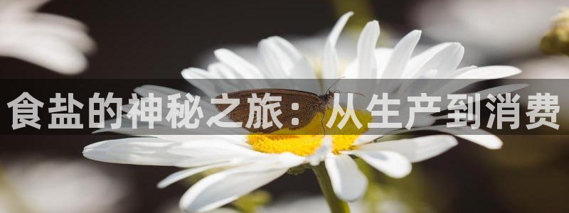 威九国际78mann：食盐的神秘之旅：从生产到消费