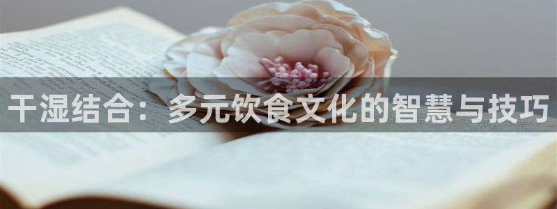 威九国际可以退钱吗怎么退款