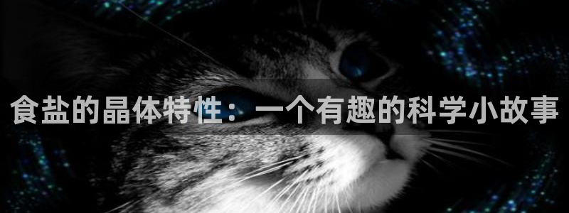 威九国际合作伙伴有哪些