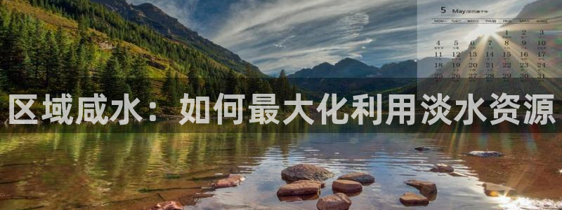 威九国际H