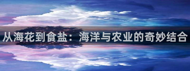 威九国际78mapp