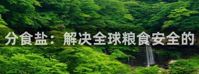 威九国际安全吗