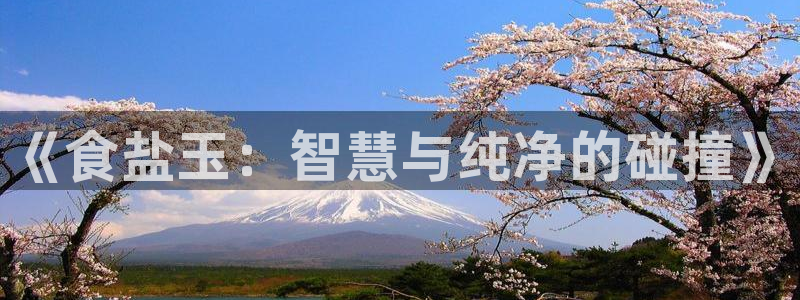 78mapp威九国际官网