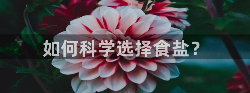 威九国际电子有限公司