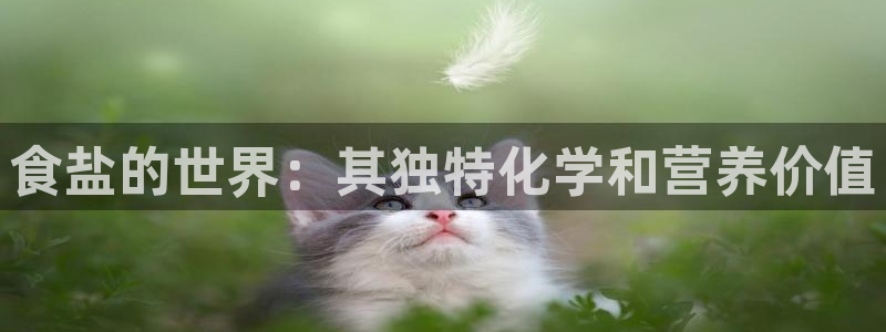 威九国际78mb下载