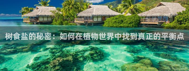 威九国际APP下载