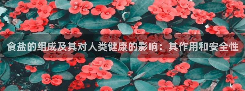 威九国际取款