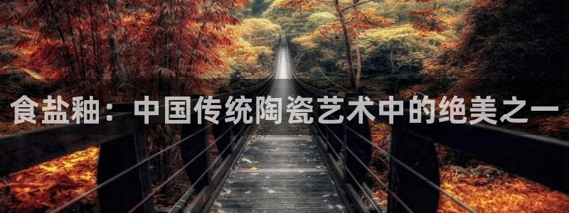 威九国际国精彩片段：食盐釉：中国传统陶瓷艺术中的绝美之一