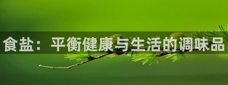 威九国际网站入口官网首页登录