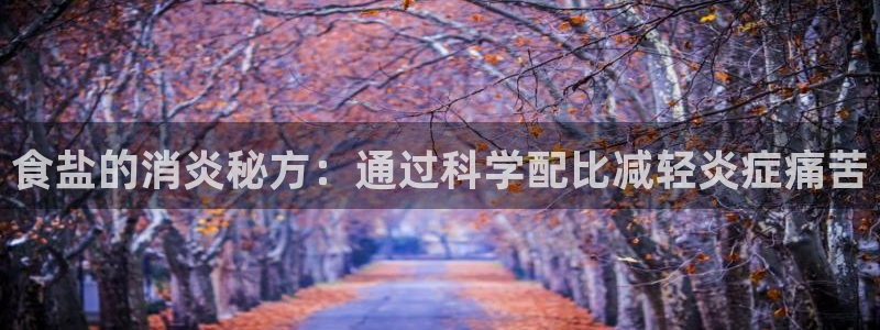 威九国际免费网络站