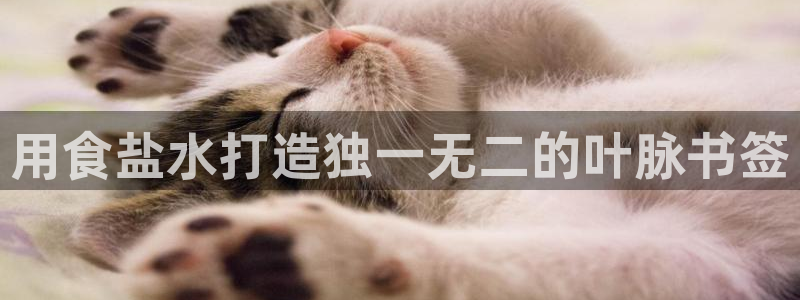 威九国际精甜心诗词网彩片甜心网甜心诗词网