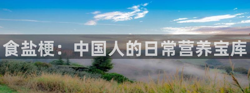 威九国际78m-MBA智库百科