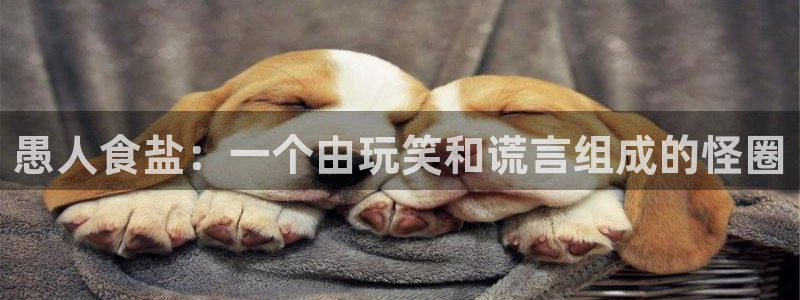 威九国际的金融服务有哪些