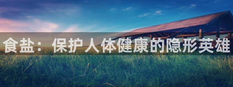 威九国际软件公司简介