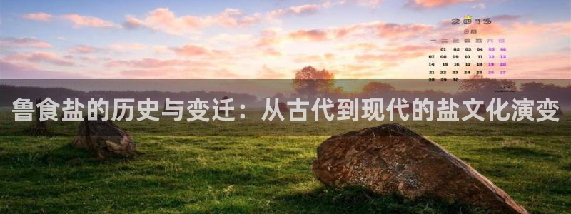 66m威九国际精选