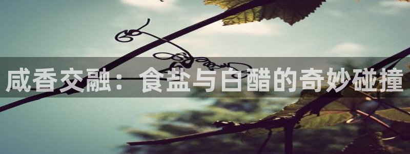 威九国际游戏入口