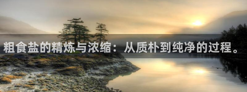 威九国际官网版下载