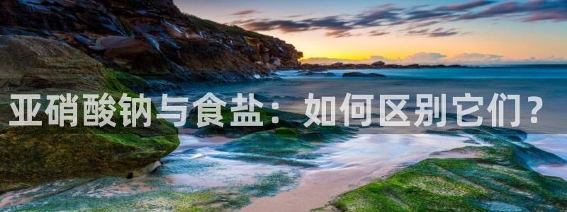 威九国际网站入囗