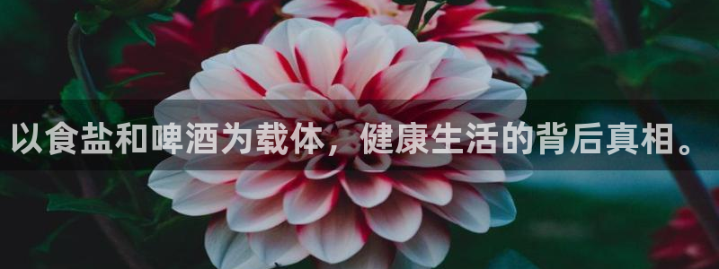 威九国际里的长头发帅哥名字