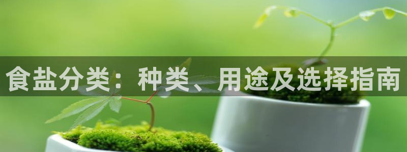 威九国际游戏app网址