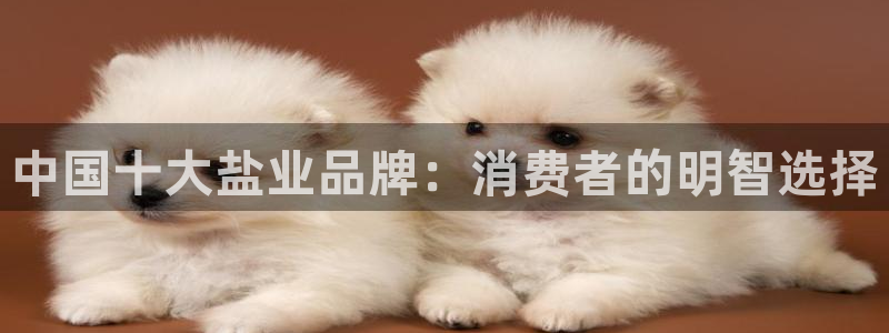 威九国际女艺人