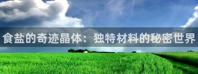 威九国际人民网招聘