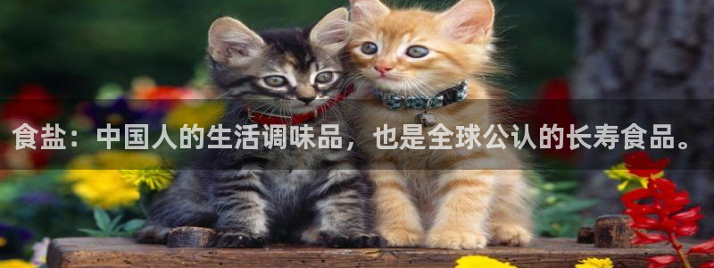 威九国际犯法吗
