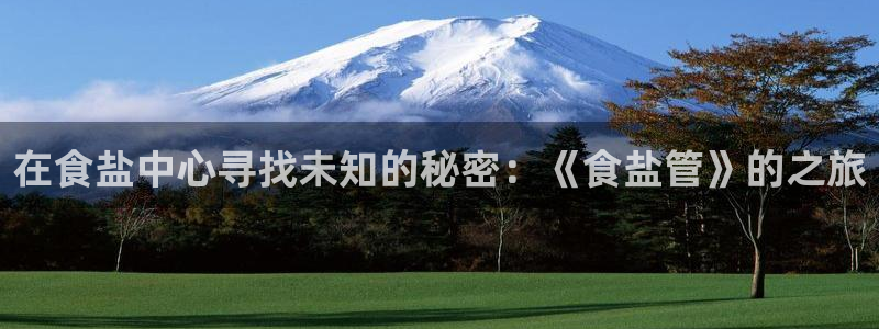 威九国际网站人入口