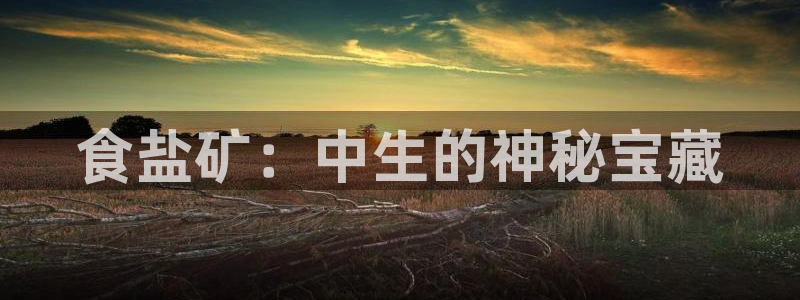 威九国际网站链接怎么打开